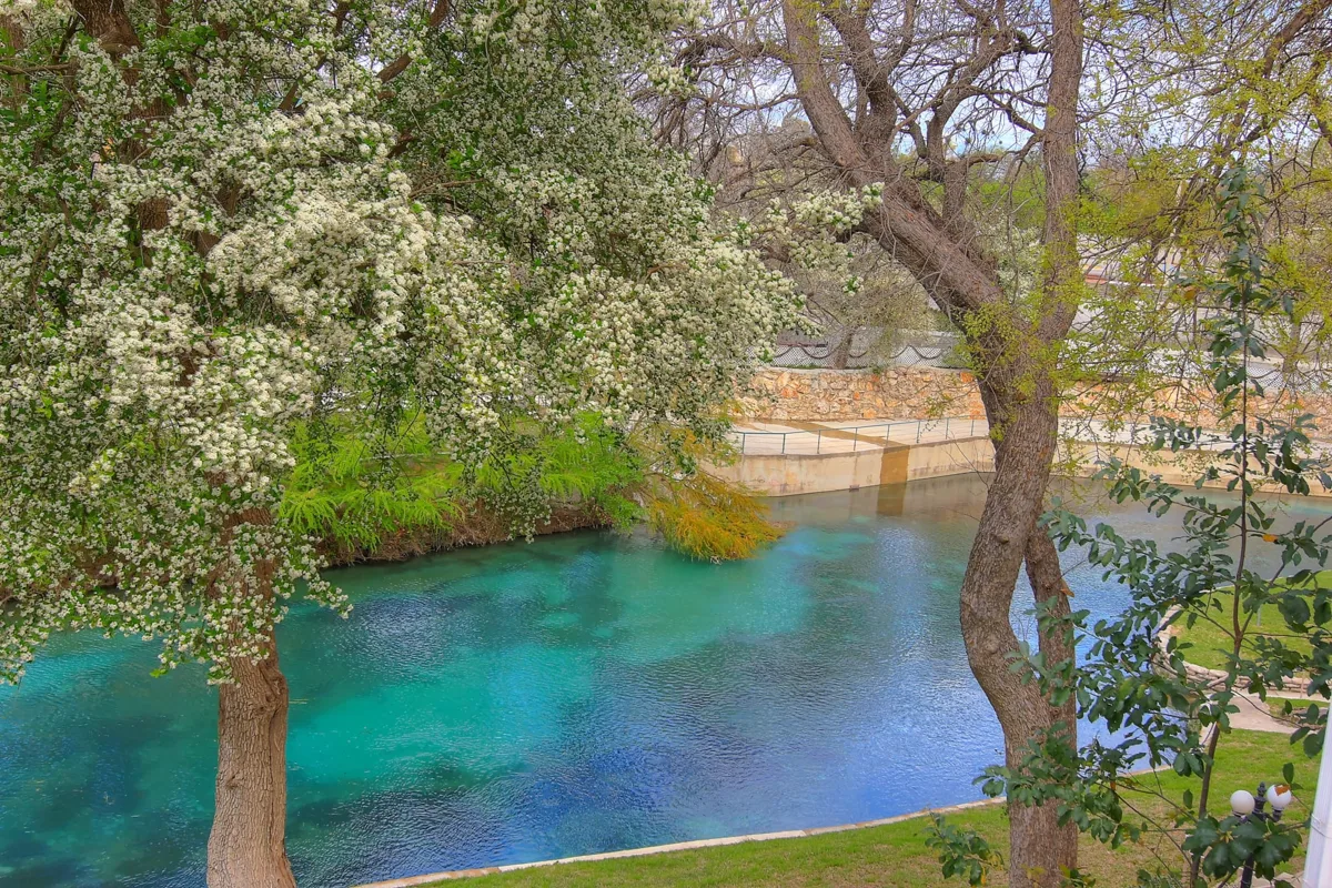 Comal River